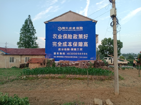 界首墙体广告的优劣势你知道吗？